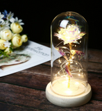 on sale now, $8.00 off - Beauty under glass - Rose with LED lights