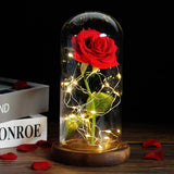 on sale now, $8.00 off - Beauty under glass - Rose with LED lights