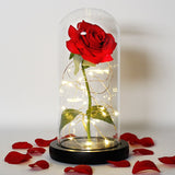 on sale now, $8.00 off - Beauty under glass - Rose with LED lights