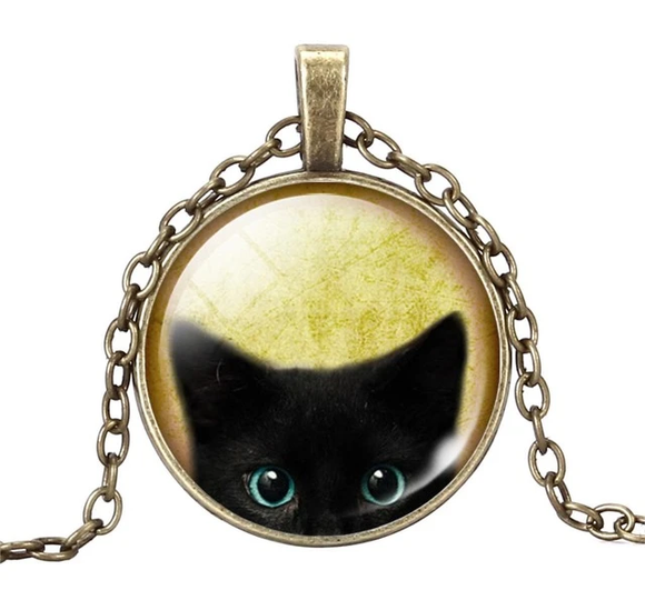 special, 25% off for limited time - Black Cat 