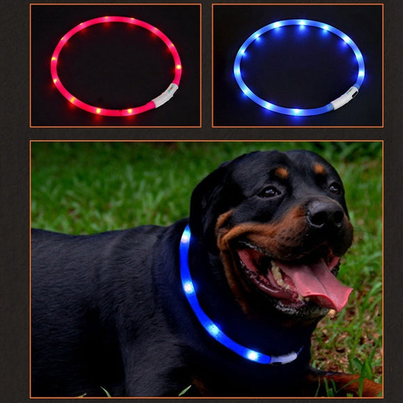 LED Night Safety Dog Collar With USB Recharging