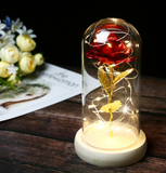 on sale now, $8.00 off - Beauty under glass - Rose with LED lights