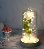 on sale now, $8.00 off - Beauty under glass - Rose with LED lights