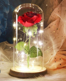 on sale now, $8.00 off - Beauty under glass - Rose with LED lights