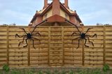 Big Black Furry Fake Spider,  Creepy Trick Or Halloween