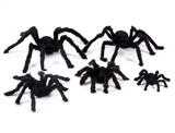Big Black Furry Fake Spider,  Creepy Trick Or Halloween
