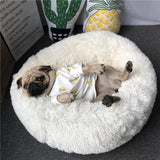 Summer Sale - The #1 Super Soft, Calming Pet Bed - Now 35% OFF For a Limited Time