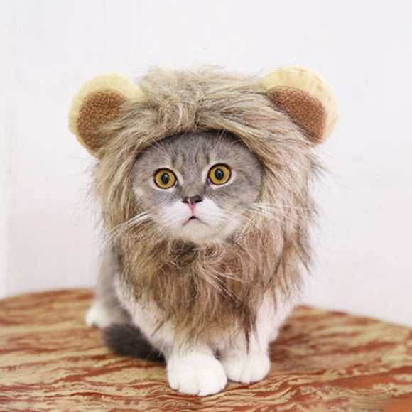 Cat Costume Lion Mane Wig/Hat